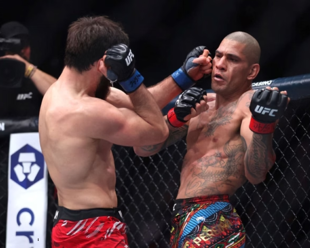 Como assistir UFC ao vivo e grátis